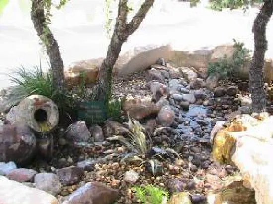 Idyll Glen RV Park Picture 5