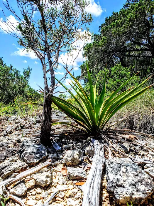 Old 1431 RV Park Picture 6