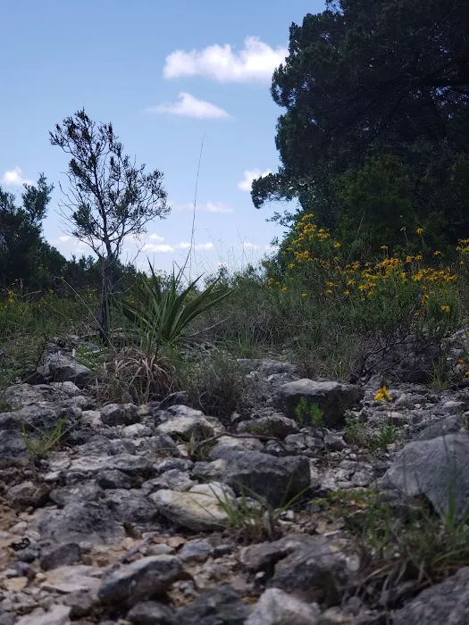 Old 1431 RV Park Picture 4