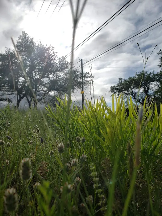 Old 1431 RV Park Picture 3