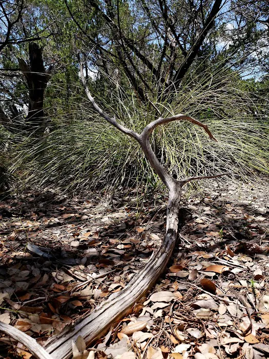 Old 1431 RV Park Picture 10