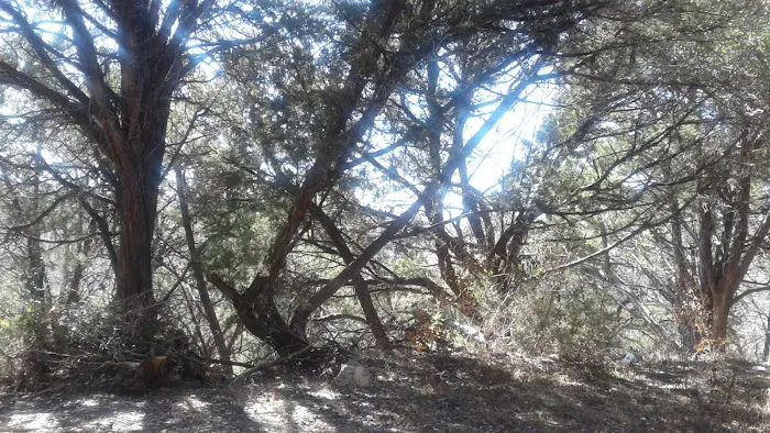 Covenant Canyon RV Park Picture 2