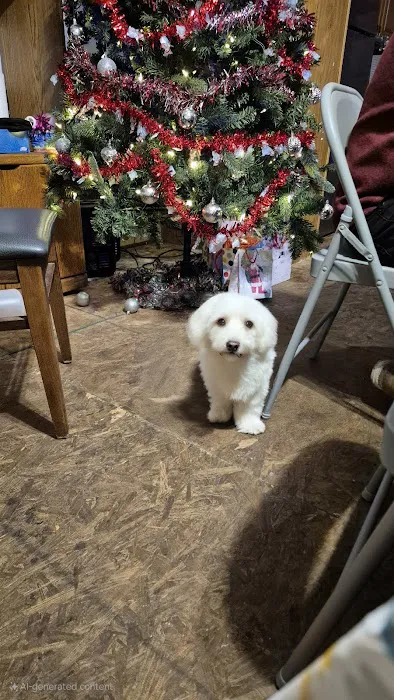 Country Aire Mobile Home Park Picture 1