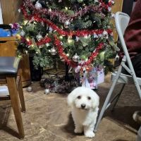 Country Aire Mobile Home Park ico