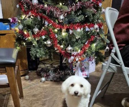 Country Aire Mobile Home Park