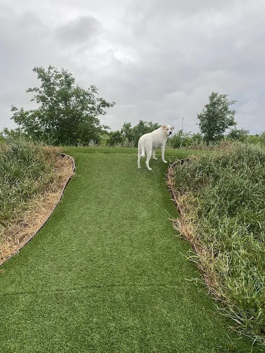 Buda Place RV Resort Picture 9