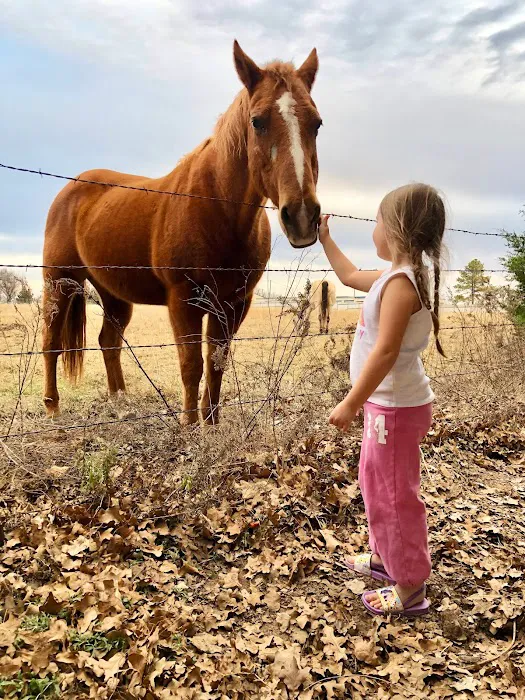 Campers Paradise RV Park Picture 9