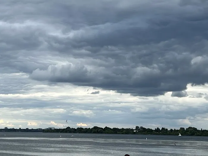 Route 81 RV Park Picture 2