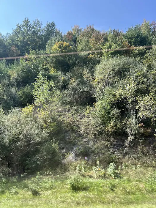 Route 81 RV Park Picture 1