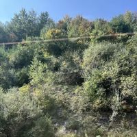 Route 81 RV Park ico