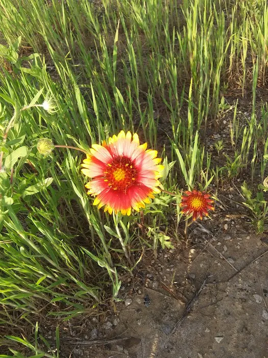 Cottage Cove RV Park Picture 1