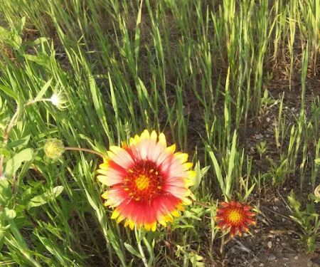 Cottage Cove RV Park