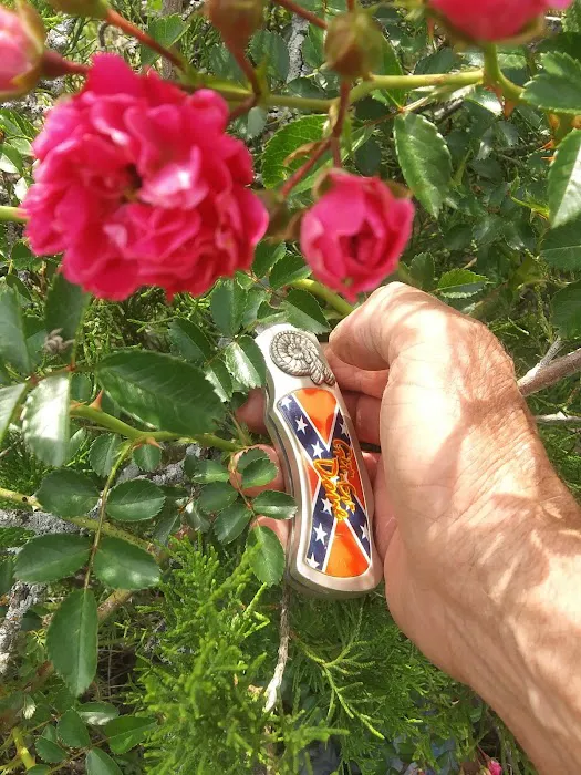 Cottage Cove RV Park Picture 2