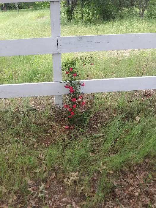 Cottage Cove RV Park Picture 8