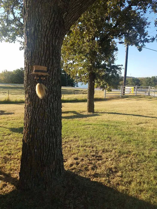 The Oak RV Park & Campground Picture 2