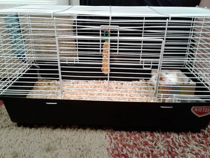 Bowie Community RV Park Picture 1