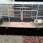 Bowie Community RV Park