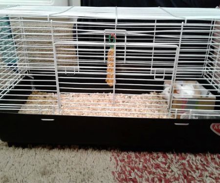 Bowie Community RV Park