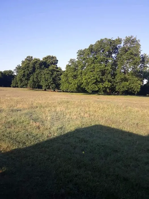 PARADISE STEAKHOUSE, RACETRACK & RV PARK (EL TORINO'S) Picture 1