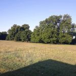 PARADISE STEAKHOUSE, RACETRACK & RV PARK (EL TORINO'S)