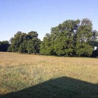 PARADISE STEAKHOUSE, RACETRACK & RV PARK (EL TORINO'S) ico