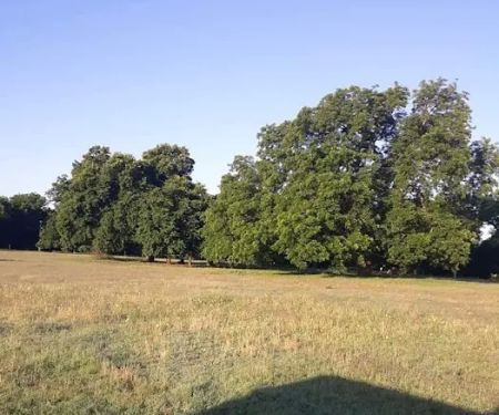 PARADISE STEAKHOUSE, RACETRACK & RV PARK (EL TORINO'S)