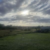 Finis Road RV Park ico