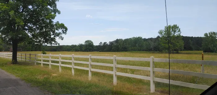 Toad's Mean Green RV Park Picture 4