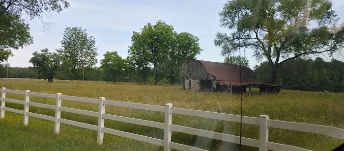 Toad's Mean Green RV Park Picture 1