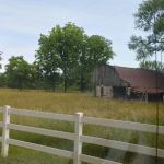 Toad's Mean Green RV Park