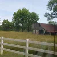 Toad's Mean Green RV Park ico