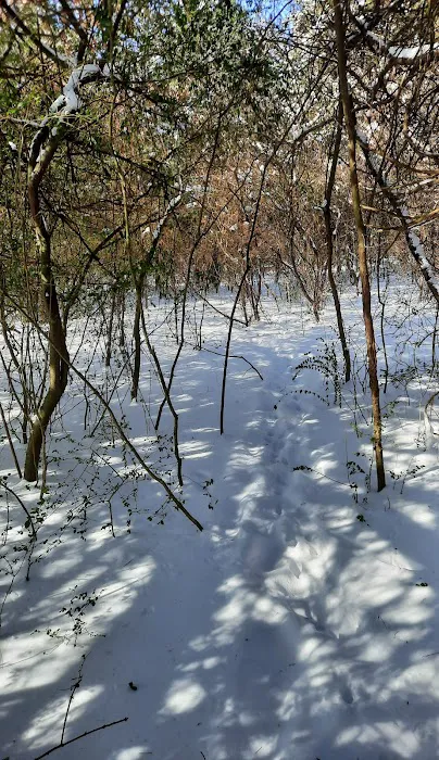 Clinton RV Park Picture 8