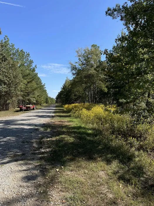 Phat Uncles at Sugarloaf Picture 9