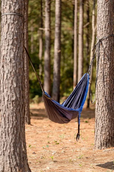 Phat Uncles at Sugarloaf Picture 8