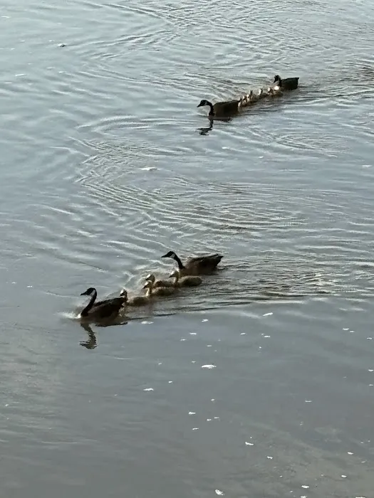 B & G RV Park & Rentals Picture 4