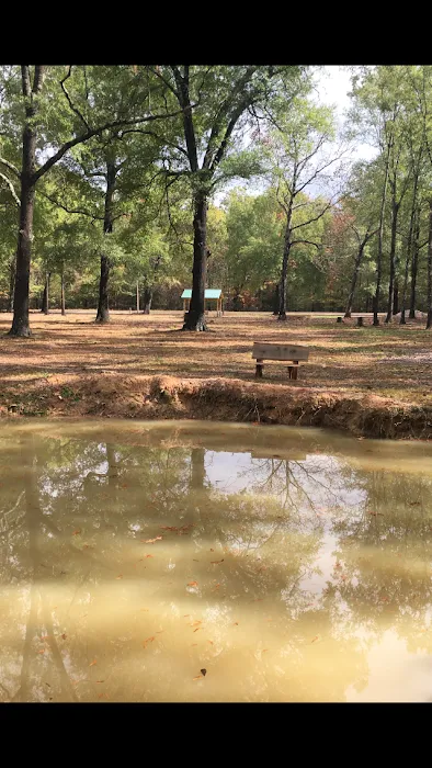 Talley Lane Rv Park LLC Picture 4