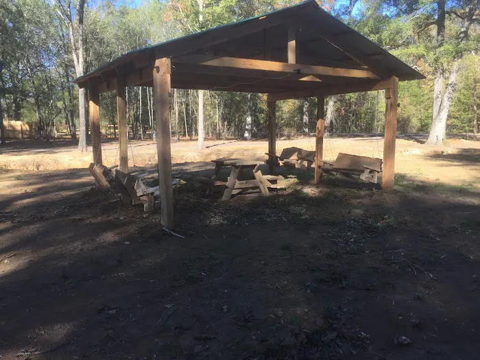 Talley Lane Rv Park LLC Picture 5