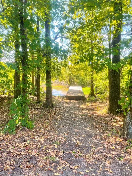 Adventure RV Picture 10