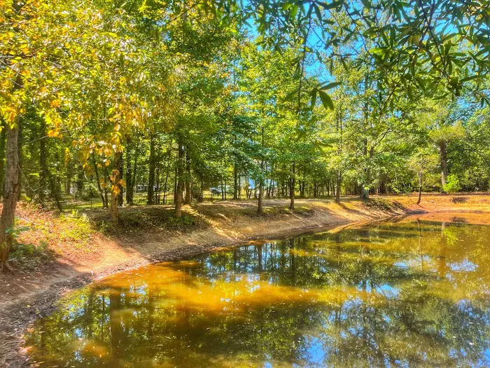 Adventure RV Picture 6