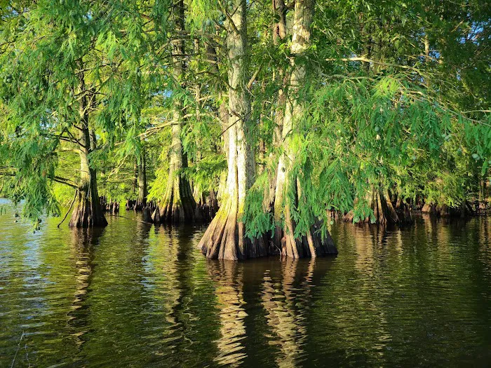 Adventure RV Picture 8