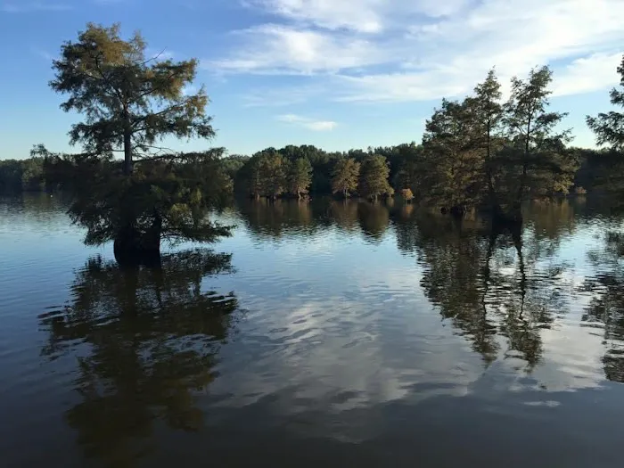 Adventure RV Picture 4