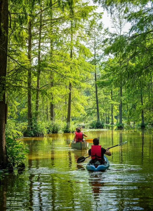 Adventure RV Picture 7