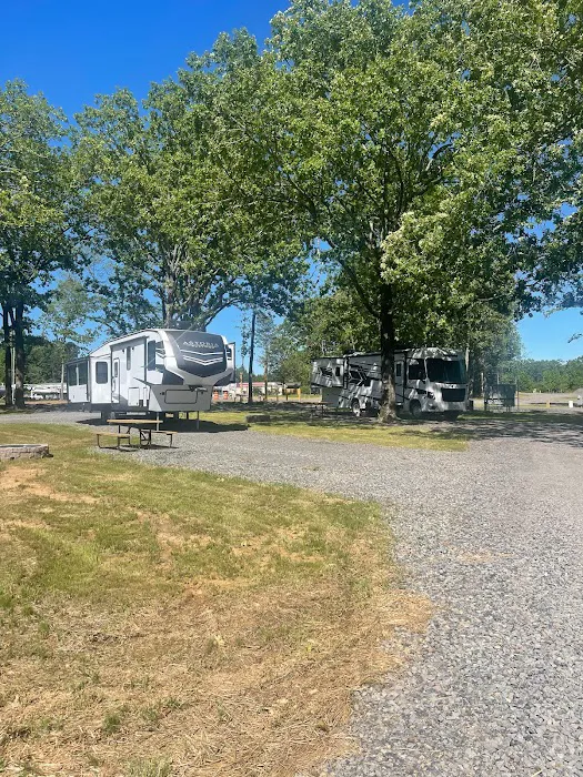 The Woodlands RV Resort Picture 8