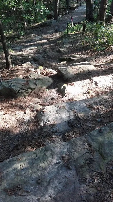 Heber Springs Mobile Home Community Picture 4