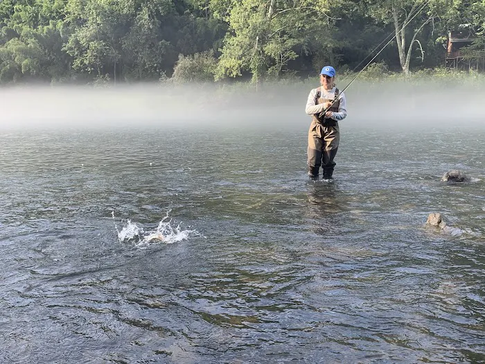 Heber Springs RV Park Picture 9