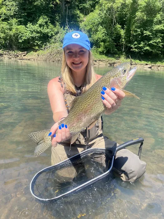 Heber Springs RV Park Picture 6