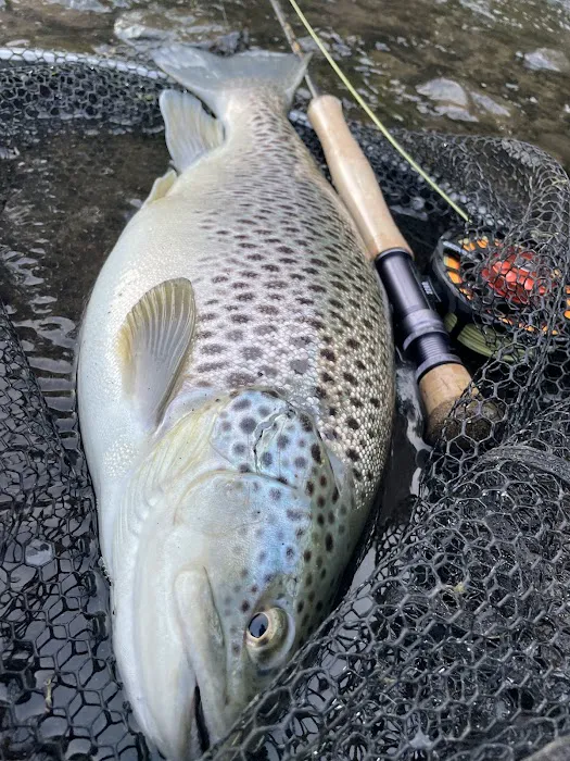 Heber Springs RV Park Picture 8