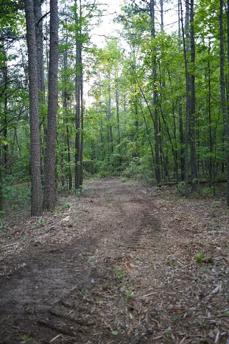 Dew Drop In RV Park Picture 3