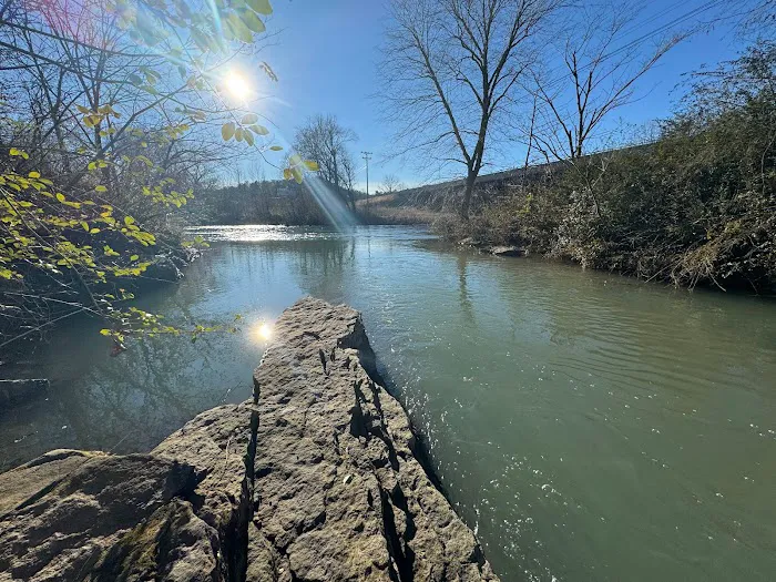 Little River RV Park Picture 2