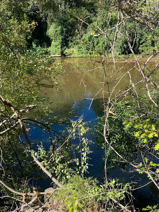 Little River RV Park Picture 7